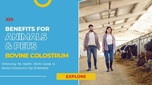 20 Major Bovine Colostrum Benefits For Animals & Pets In 2024.