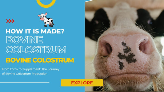 How Bovine Colostrum Is Made?