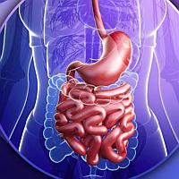 Leaky Gut Syndrome: Colostrum for Athletes