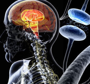 Research on Colostrum Use for Parkinson’s Disease