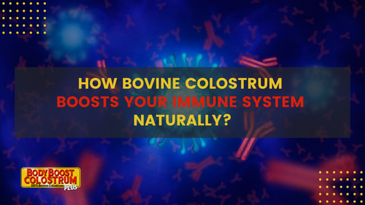 How Bovine Colostrum Boosts Your Immune System Naturally?