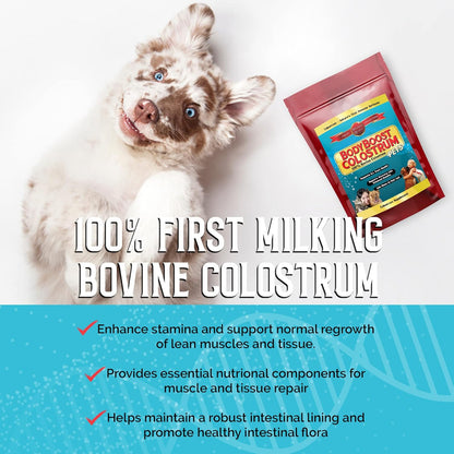 BodyBoost Colostrum for Pets