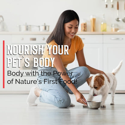 BodyBoost Colostrum for Pets